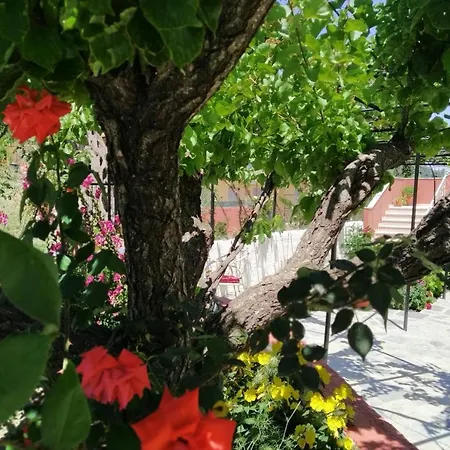 Rio Grande Guest house Benitses (Corfu)